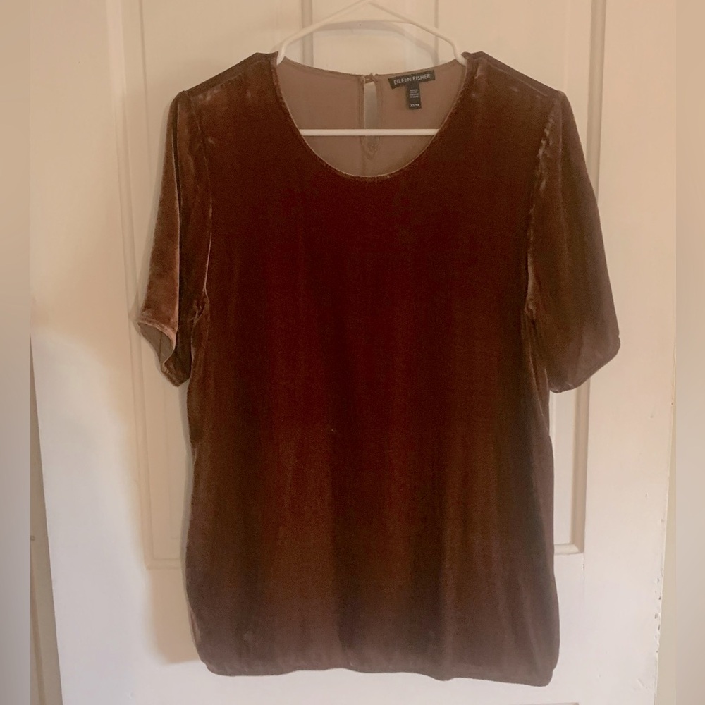 Velvet Eileen Fisher top